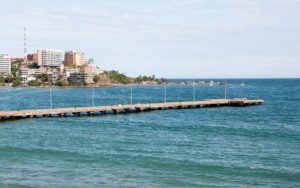 IMG_20260918_053801_866